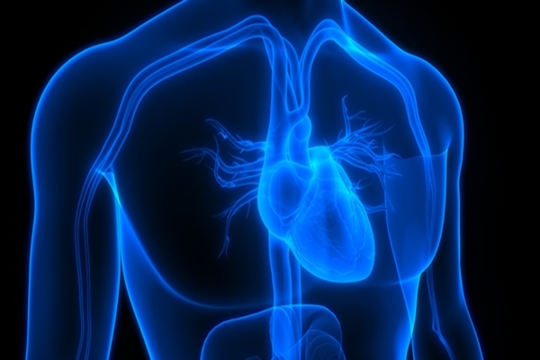 Asan Medical Center Successfully Treats Atrial Fibrillation with 3D Pulse Field Ablation